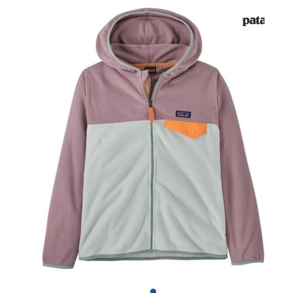 PATAGONIA MICRO D SNAP-T FLEECE JACKET - YOUTH Sz 10 Green/purple NWT $80 MSRP